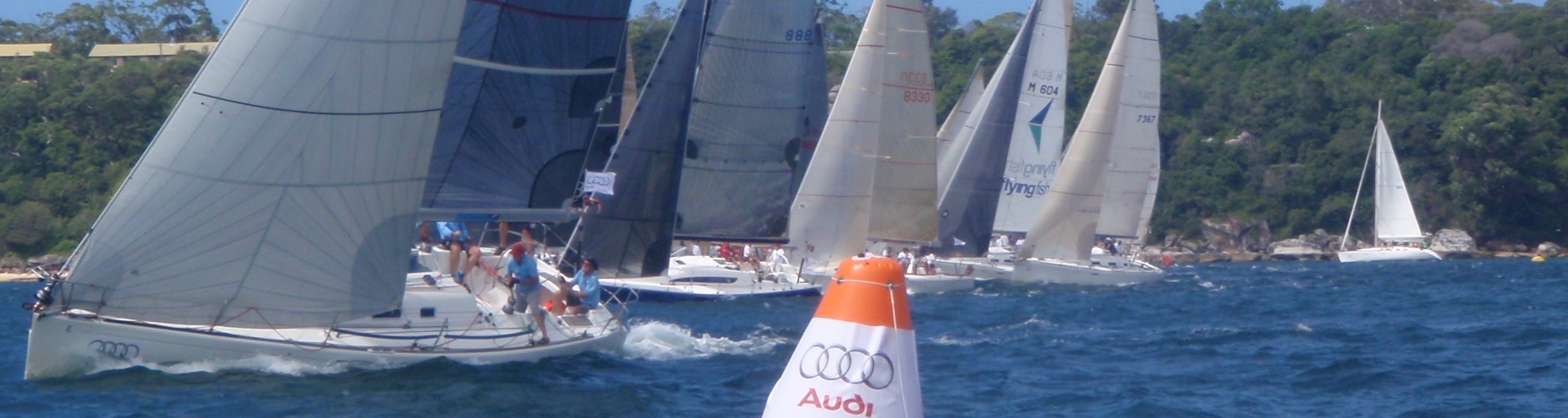 Sydney Harbour Regatta - Flying Fish Sail Academy